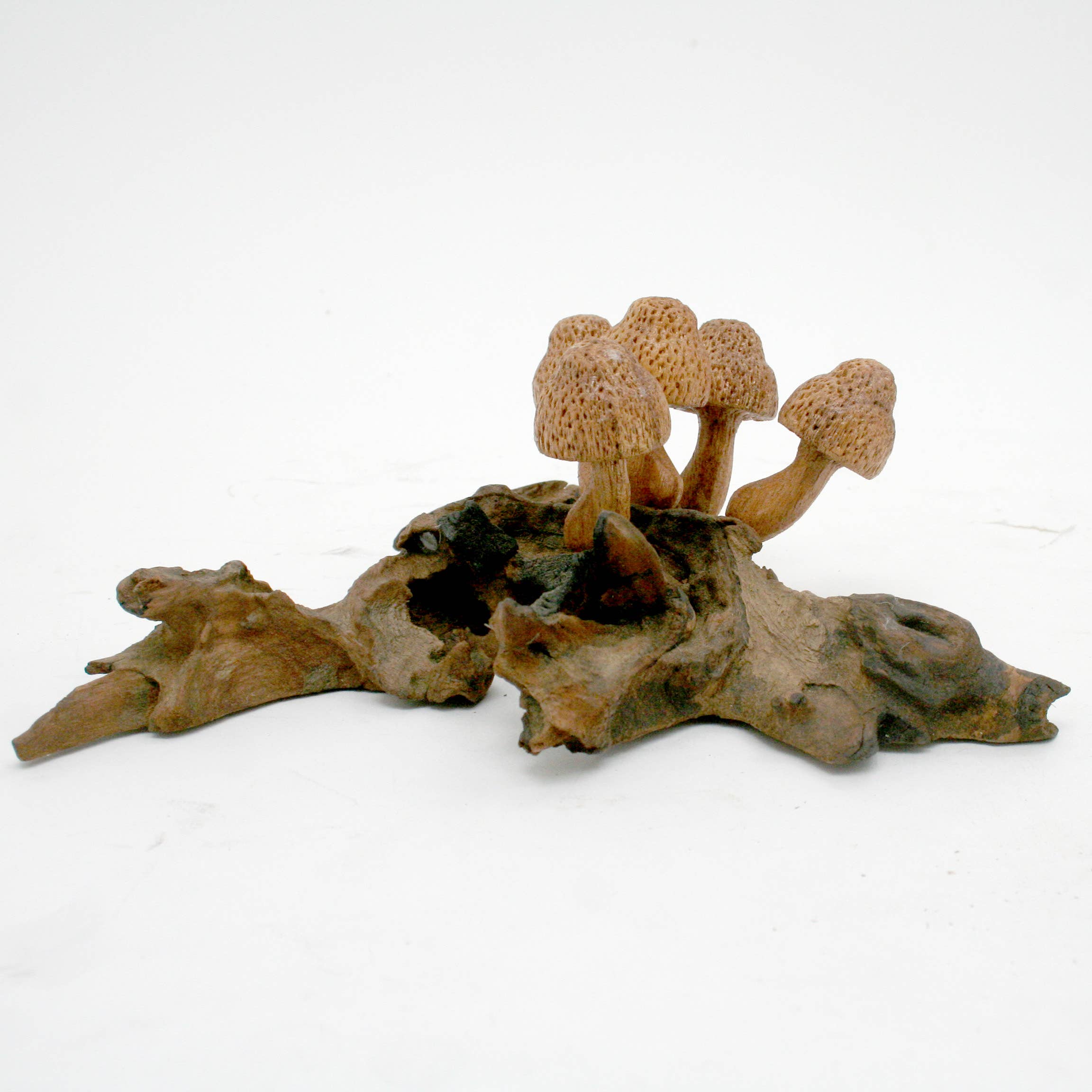Modern Eastern by Contrast Inc. - Wholesale Decorative Tabletop Object - (5) Wood Dot Mushrooms on Driftwood2