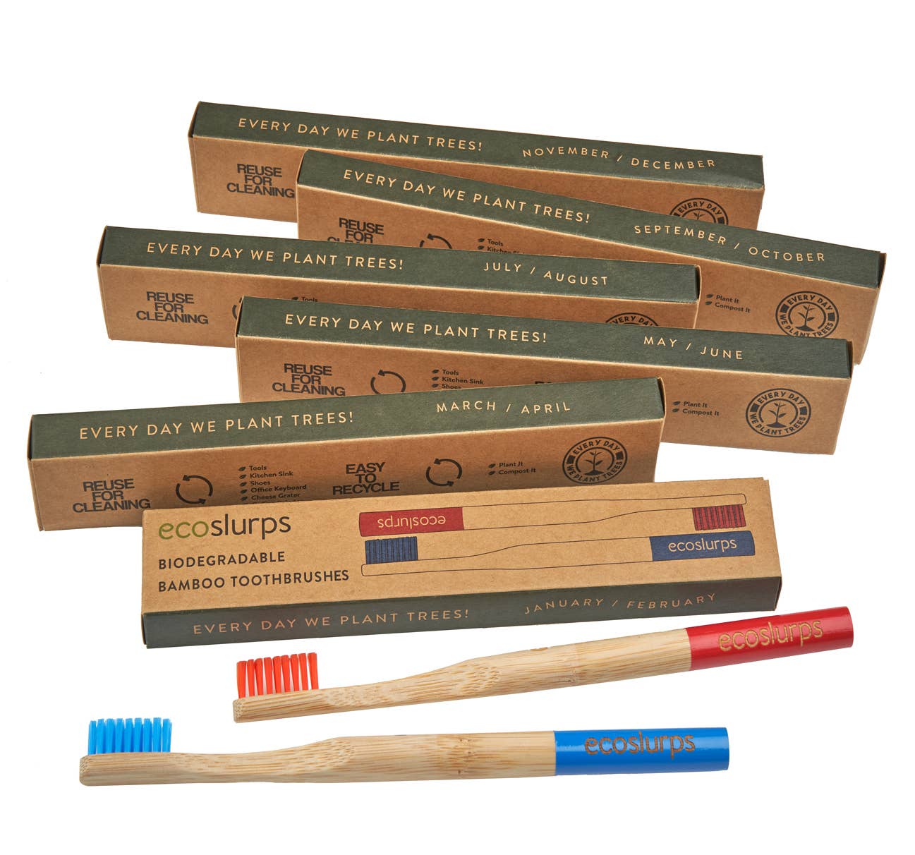 EcoSlurps - Wholesale Toothbrush - Bamboo Toothbrushes - British Brand Toothbrush eco friendly10