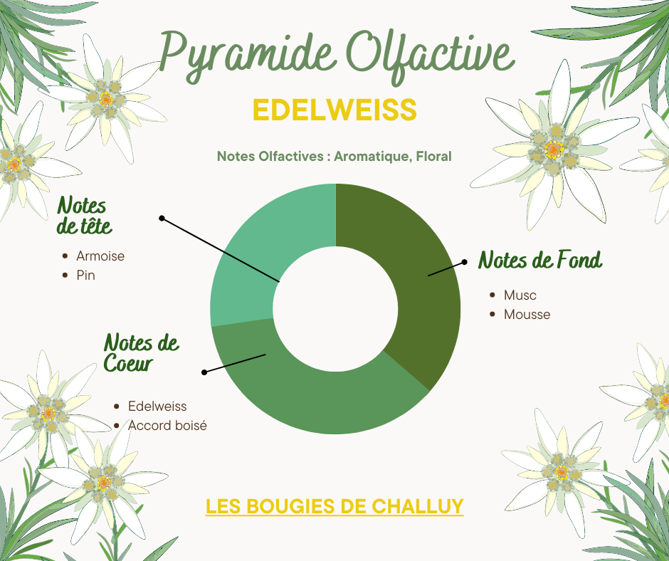 LES BOUGIES DE CHALLUY - Wholesale Jar/Filled Candle - “EDELWEISS” CANDLE MADE IN NIÈVRE1