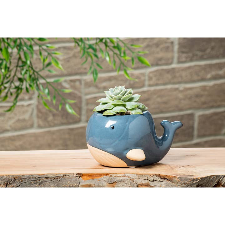 Abbott - Wholesale Plant Pot - Lg Blue Whale Planter-3"H-8781