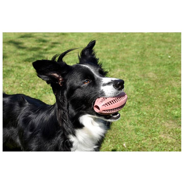 Bobby Canifrance - Wholesale Pet Fetch Ball - Dog - Dog ball - Balle - Bobby similar to Sodapup4