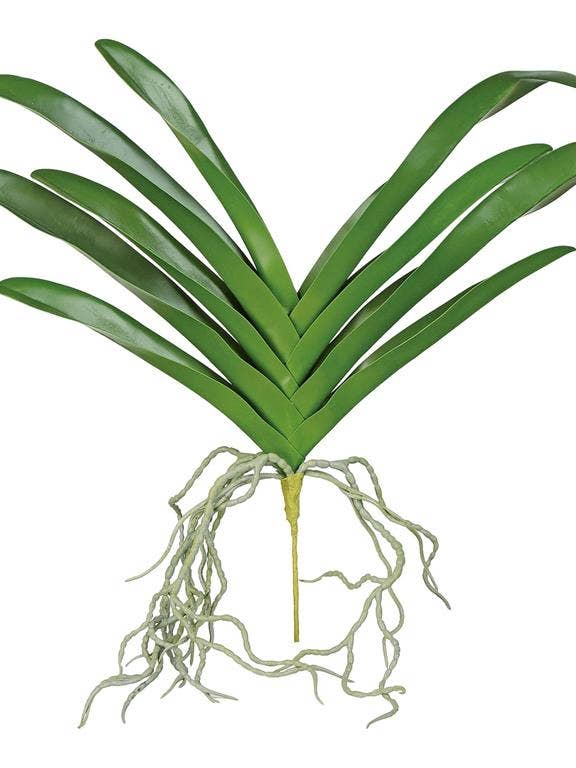 Tiger Orchid Leaf, 17", Green for wholesale by Select Artificials, Inc.