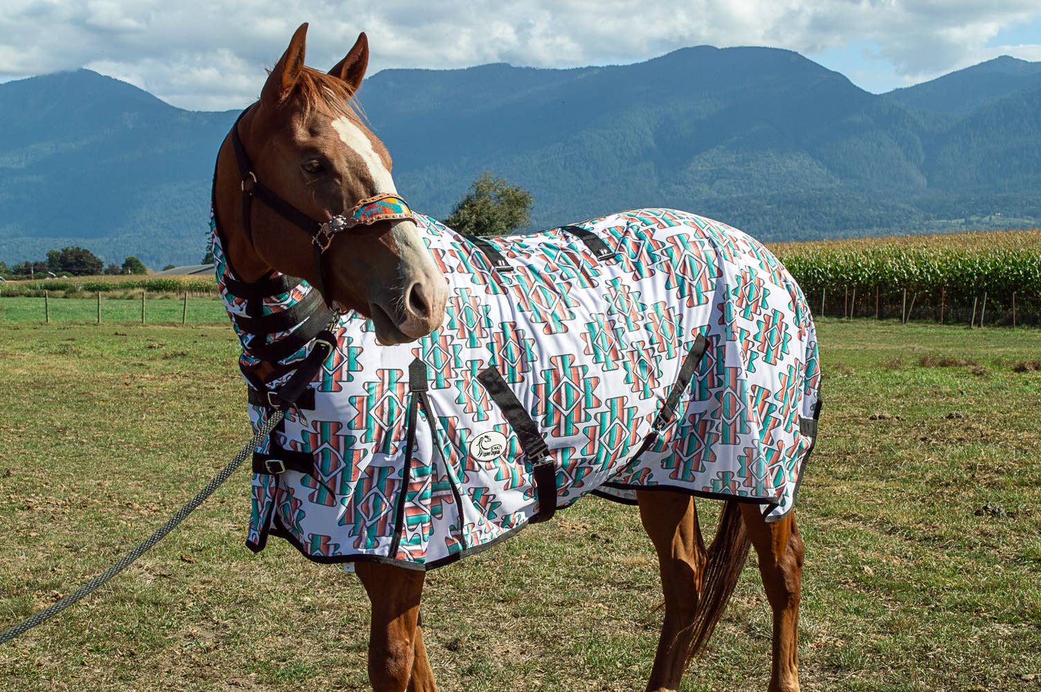 Schulz Equine - Wholesale Horseback Riding Gear - Serape Aztec Fly Sheet2