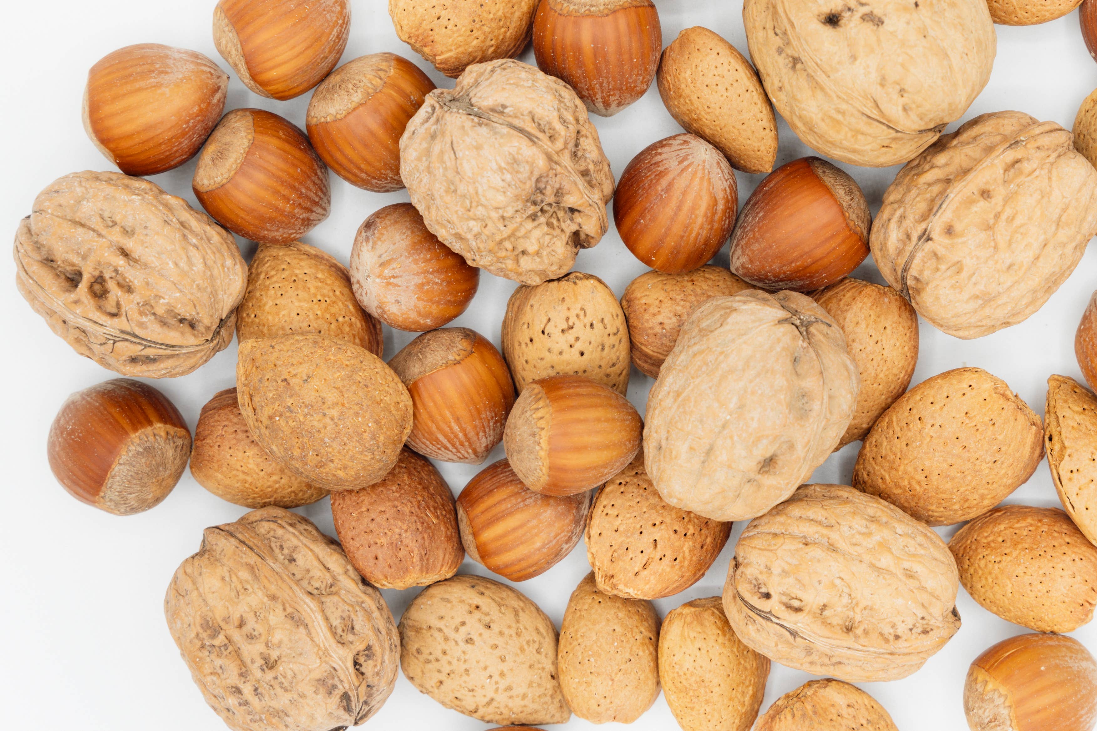 Agnellini Int Srl - Wholesale Dried/Dehydrated Fruit - Premium dried fruit in shell mix 1 Kg0