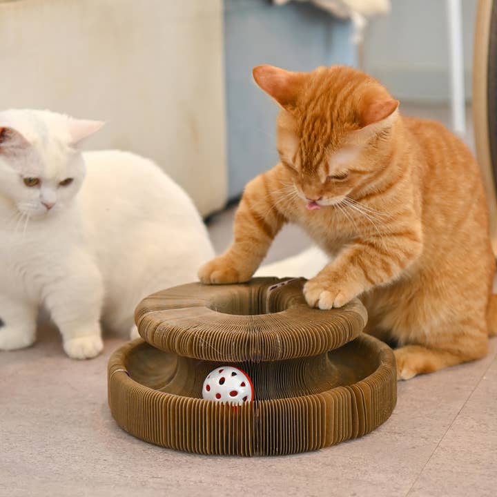 Olchi - Wholesale Pet Toy - Cat - WIGGLEE MAGIC BALL TRACK (CAYA-TO9521)