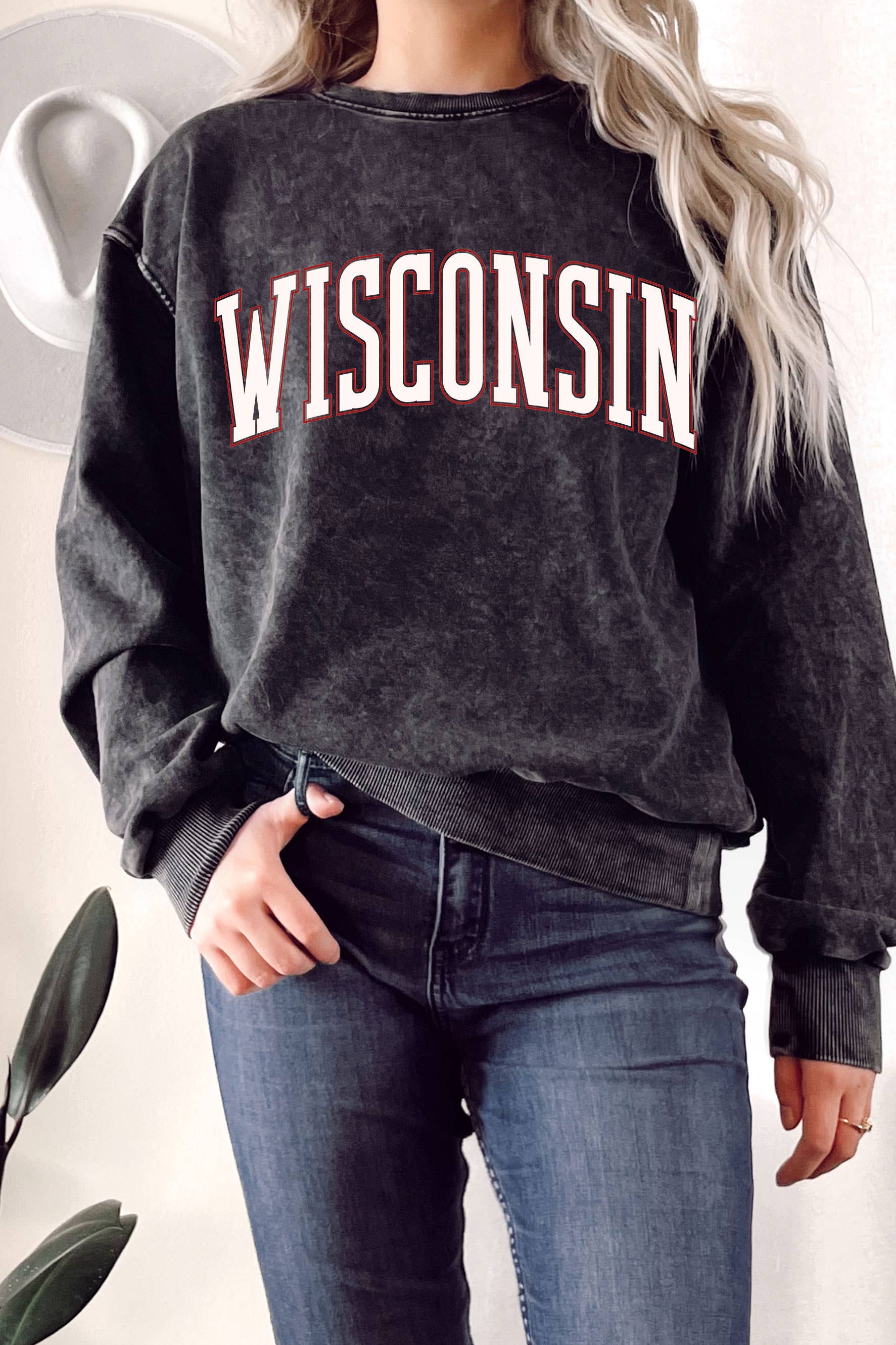 Rustee Clothing - Wholesale Graphic sweatshirt – Unisex - WISCONSIN PUFF PRINT MINERAL GRAPHIC TERRY SWEATSHIRT