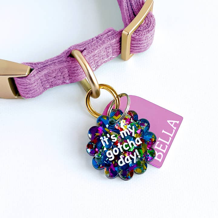 Gotcha Day Viering Huisdier Halsband Bedel - Enkele Bedel voor wholesale door Silly Goose Pets