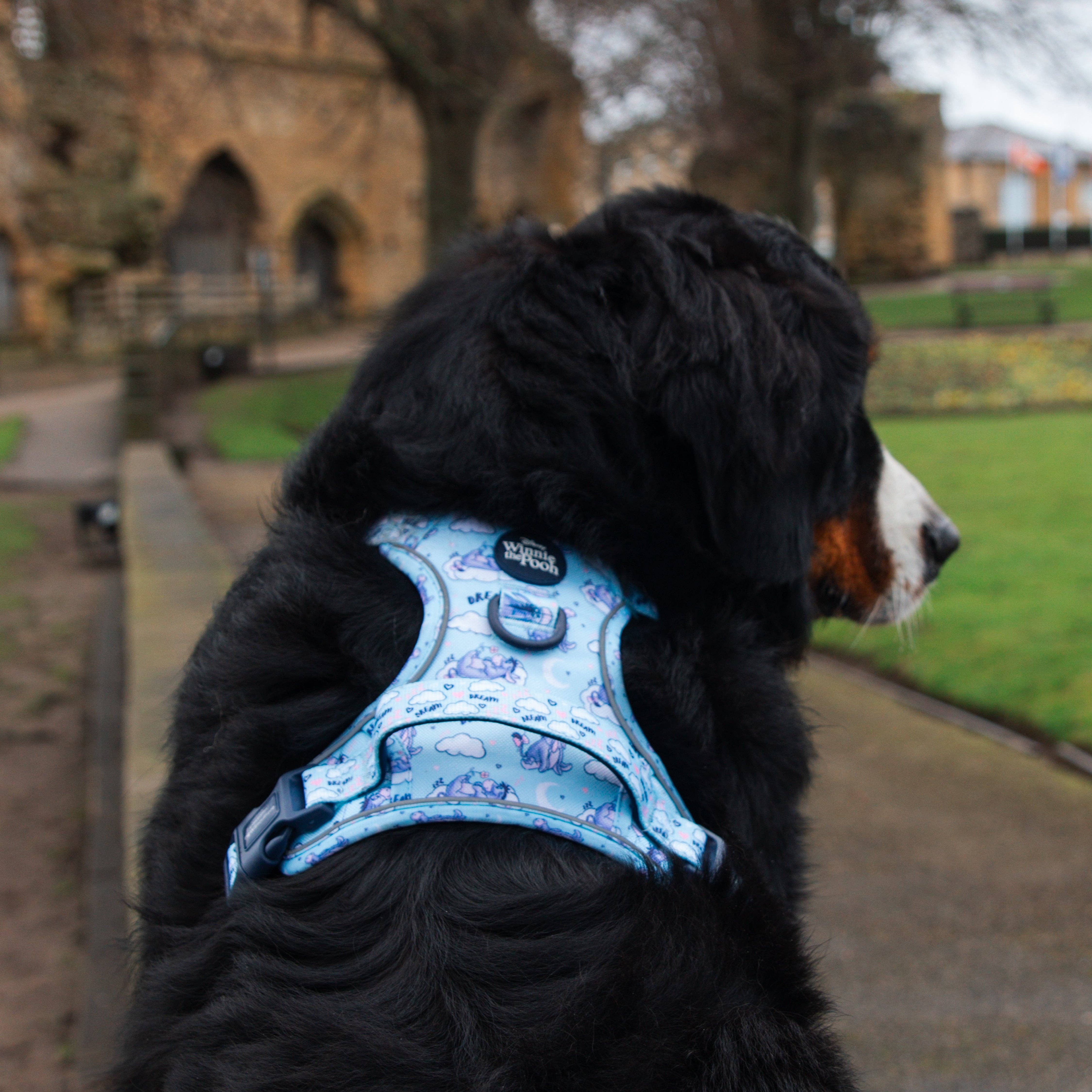 Pawsome Paws - Vendita all'ingrosso Pettorina - Cani - Disney© Tough Trails™ Pettorina - Ih-Oh21