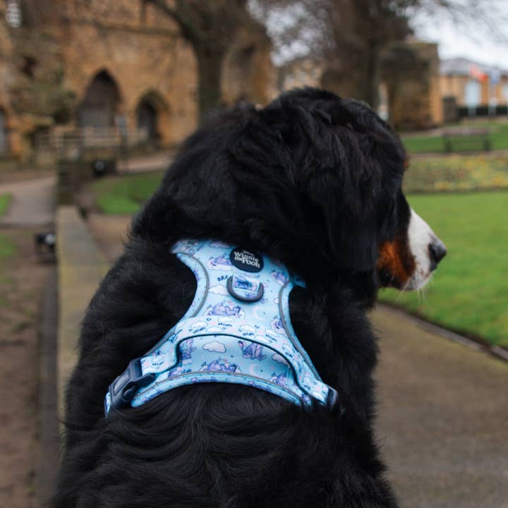 Pawsome Paws - Vendita all'ingrosso Pettorina - Cani - Disney© Tough Trails™ Pettorina - Ih-Oh21