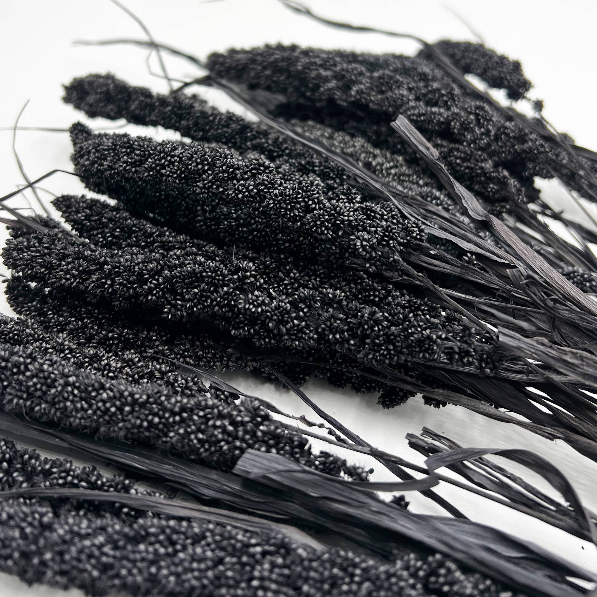 2626 Designs - Wholesale Dried/Pressed Flowers - Dried Preserved Millet Flower 21" Multiple Colors30