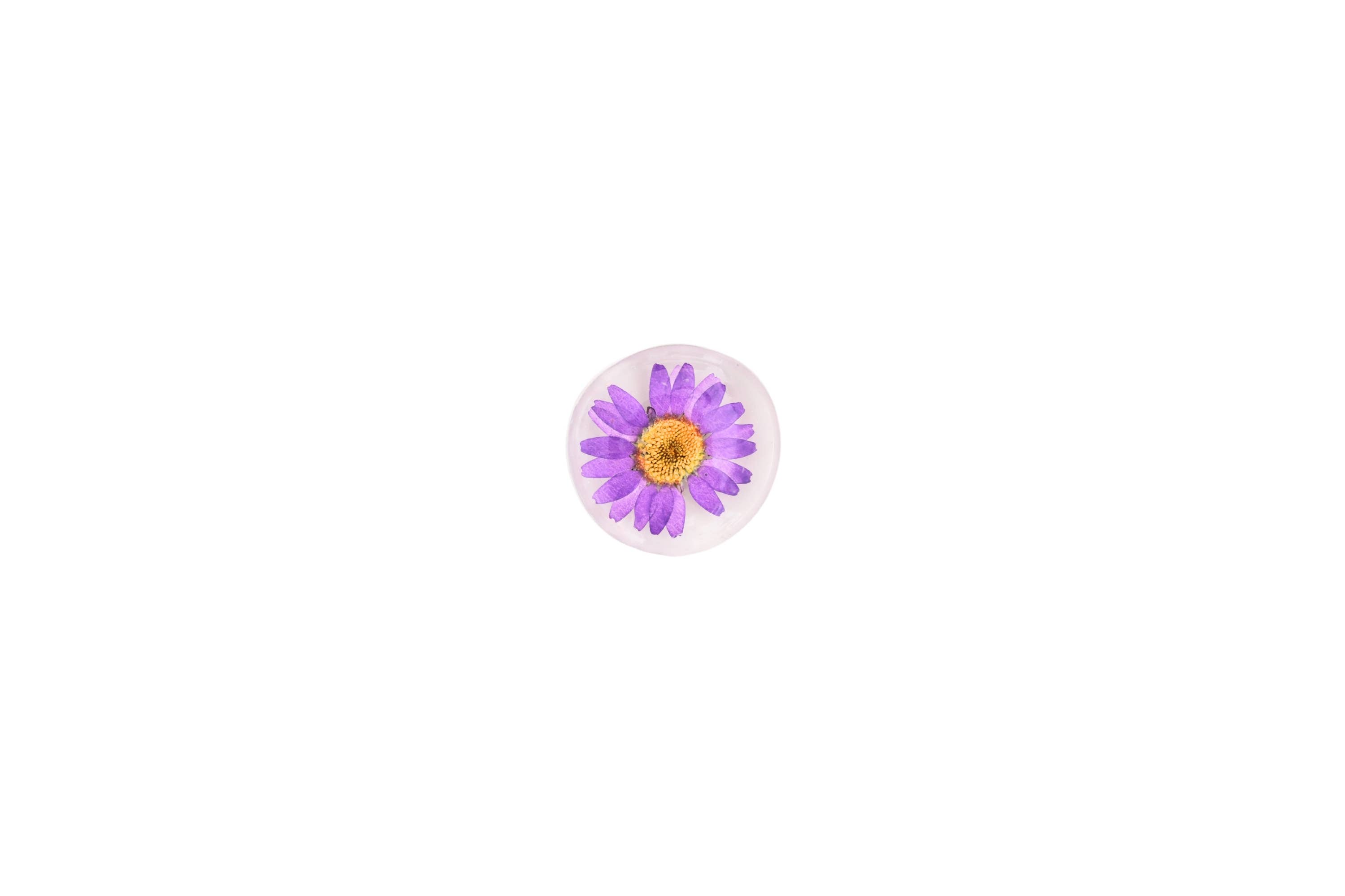 Sunnie Lane – wholesale Magnet – Real Flower Magnet - Glass Magnet2