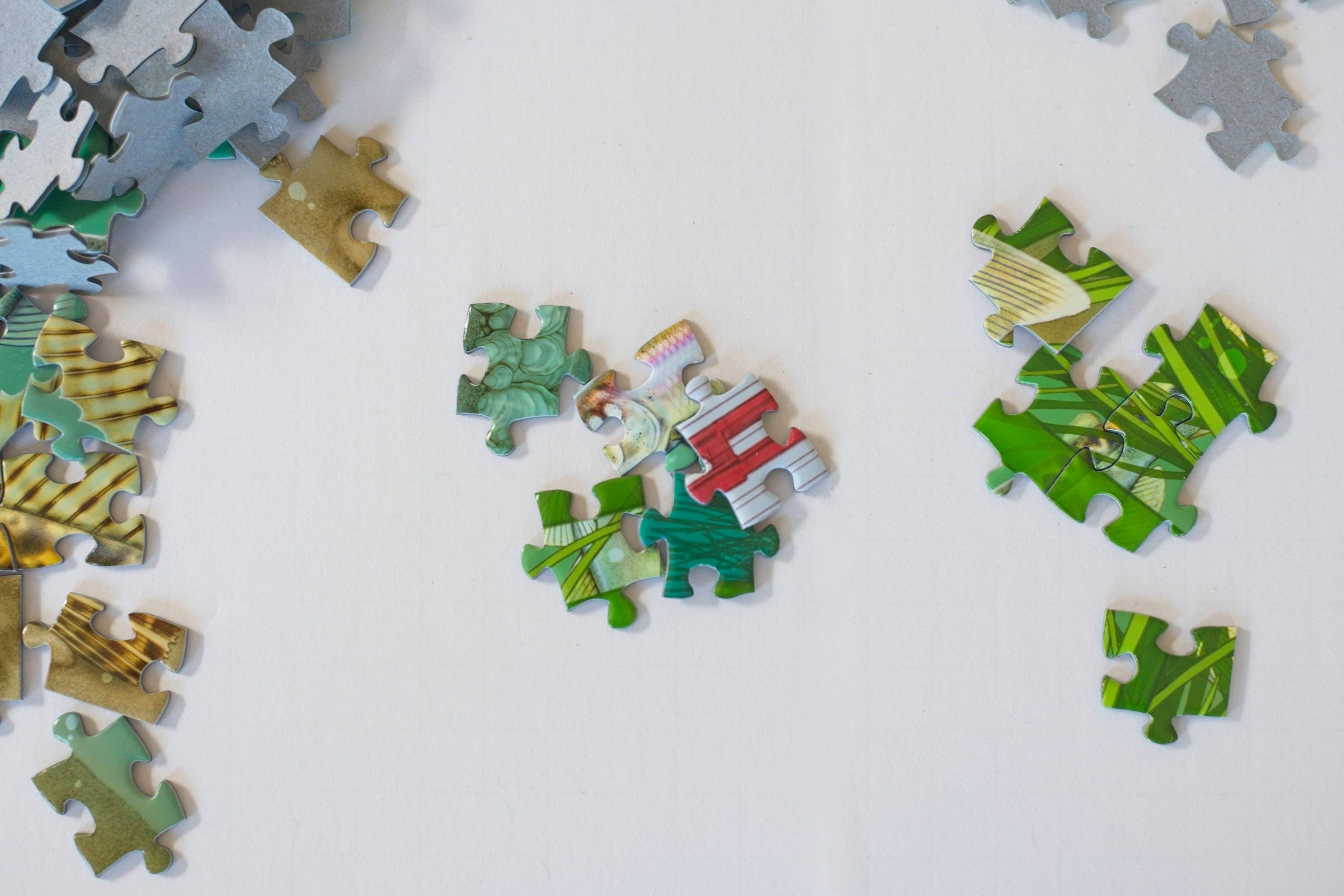 Oakland Puzzle Company - Wholesale Puzzel - Volwassene - Legpuzzel van 500 stukjes Onder de Baai5