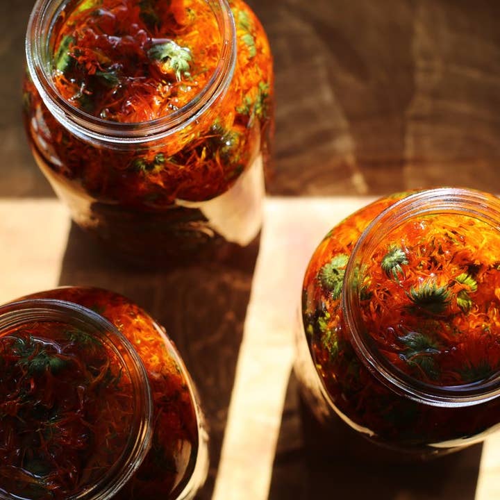 Root Rise Farm & Apothecary - Wholesale Facial Serum/Concentrate - Sun Beam Serum1