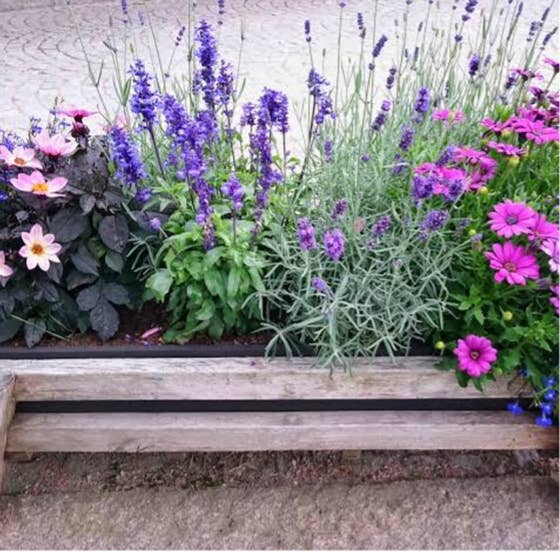 Aussie Seed Bombs - Wholesale Plant Seeds - Cottage Garden Seed Bombs 6pc2