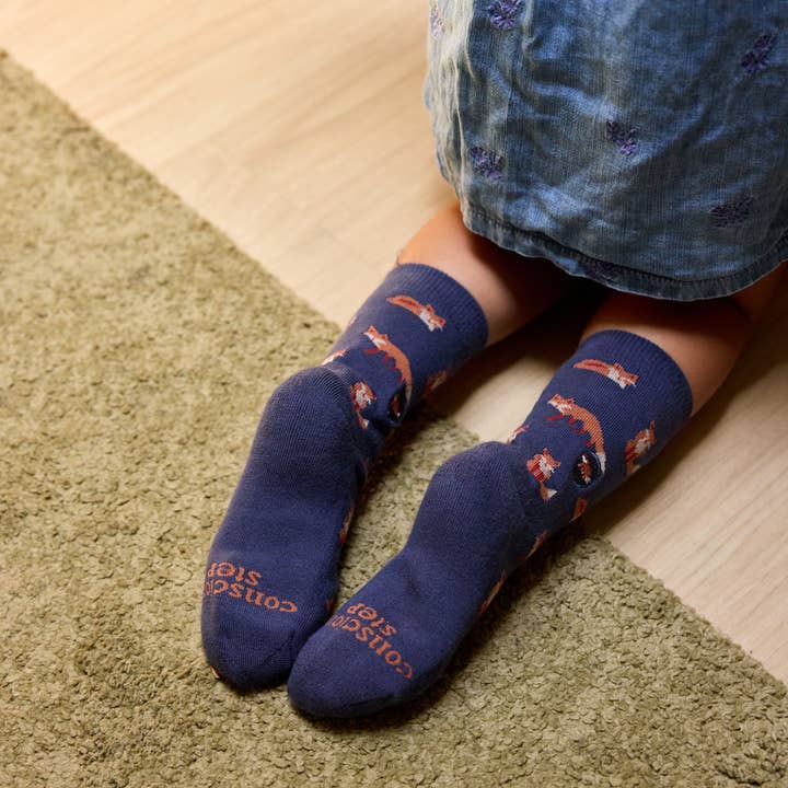Conscious Step - Wholesale Socks - Kids - Kids Socks that Protect Foxes6