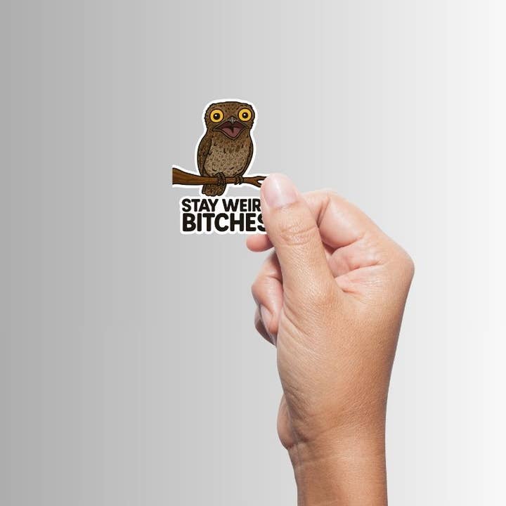 Slightly Askew Art - Wholesale Sticker - "Stay Weird Bitches" Sticker Variety Pack - 10 Designs12