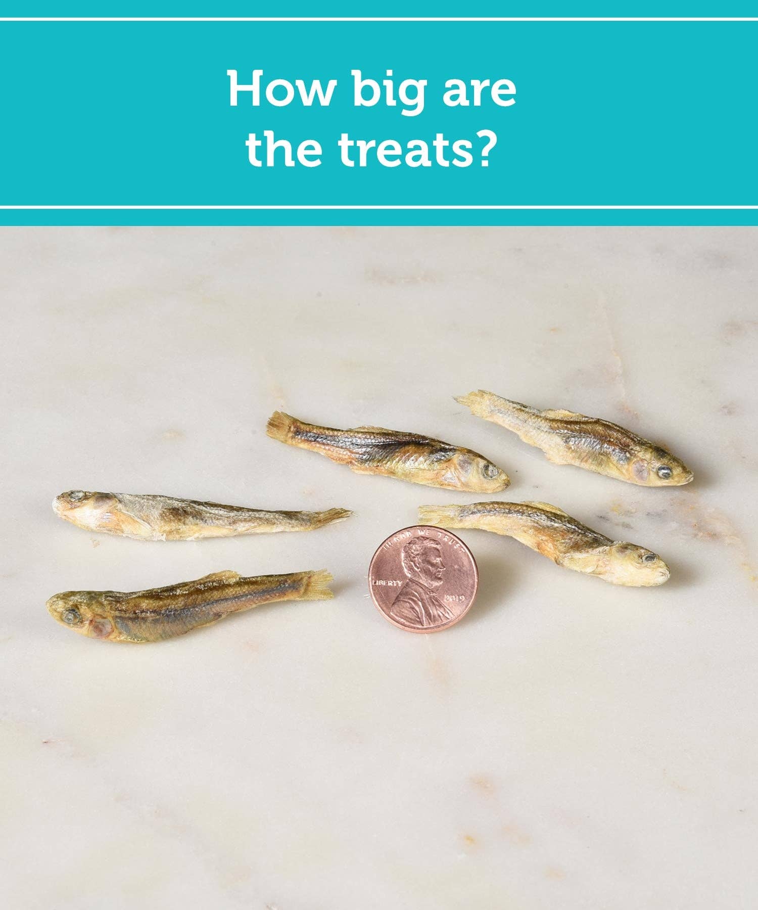 Fig & Tyler - Wholesale Pet Treats - Dog - Freeze-Dried Minnows3