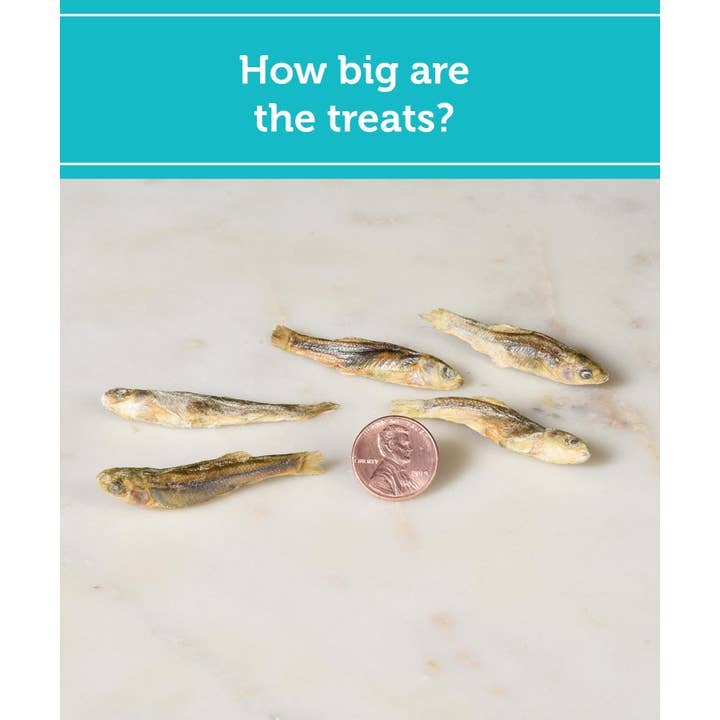 Fig & Tyler - Wholesale Pet Treats - Dog - Freeze-Dried Minnows3