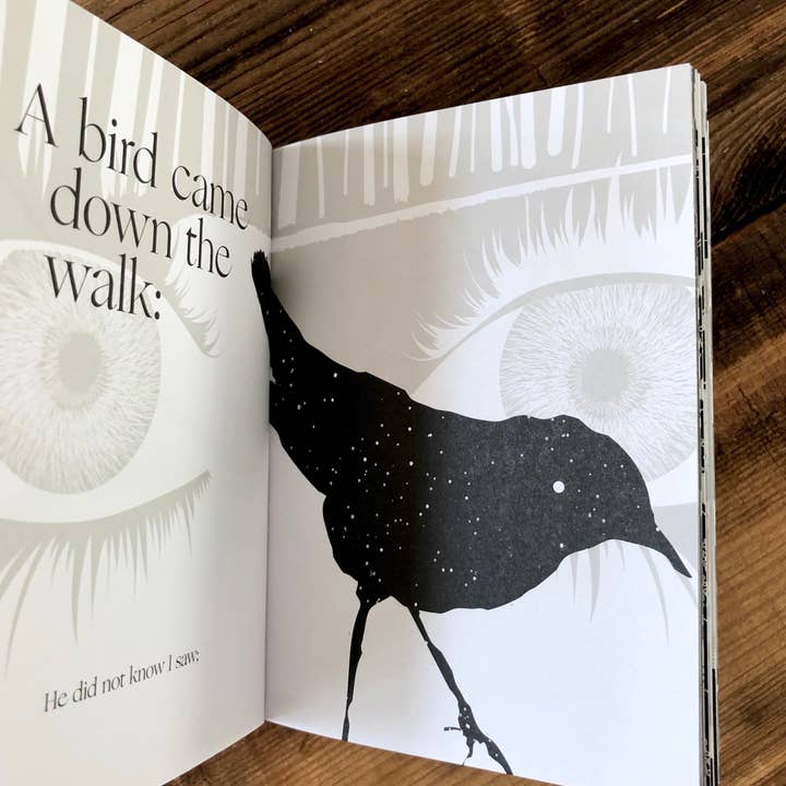 Obvious State - Wholesale Poetry & Drama - Hope is the Thing, Emily Dickinson3