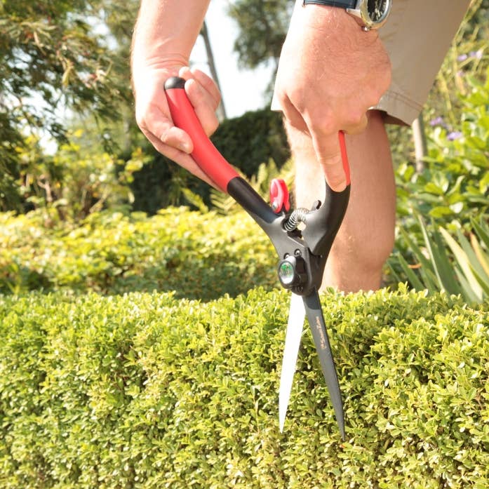 Schnittzeiten – Großhandel Gartenwerkzeug – Buchsbaumschere groß