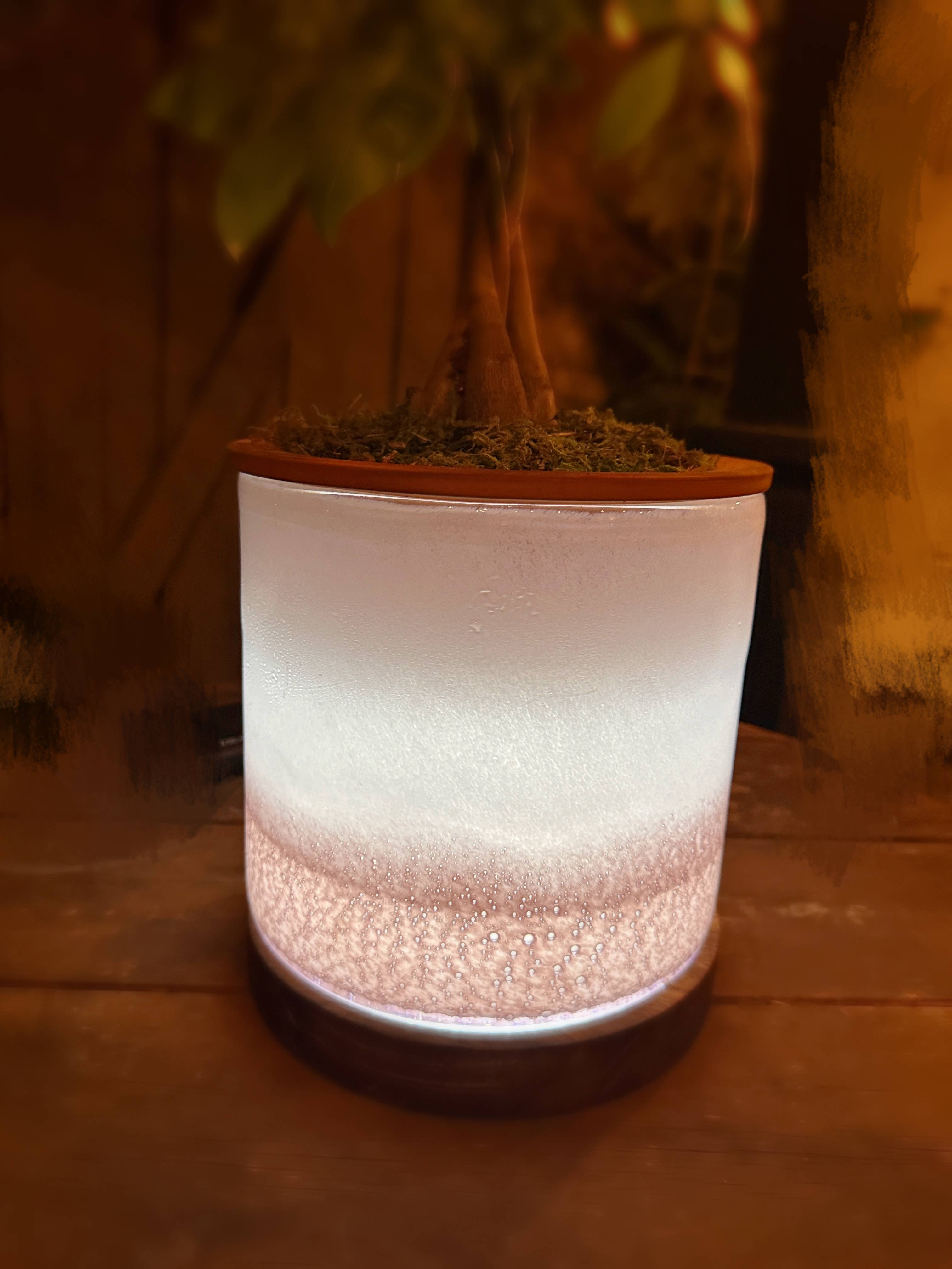 ApricotMint - Wholesale Plant Pot - 8" Art Glass LED Self Watering Planter (USB Plug-in)12