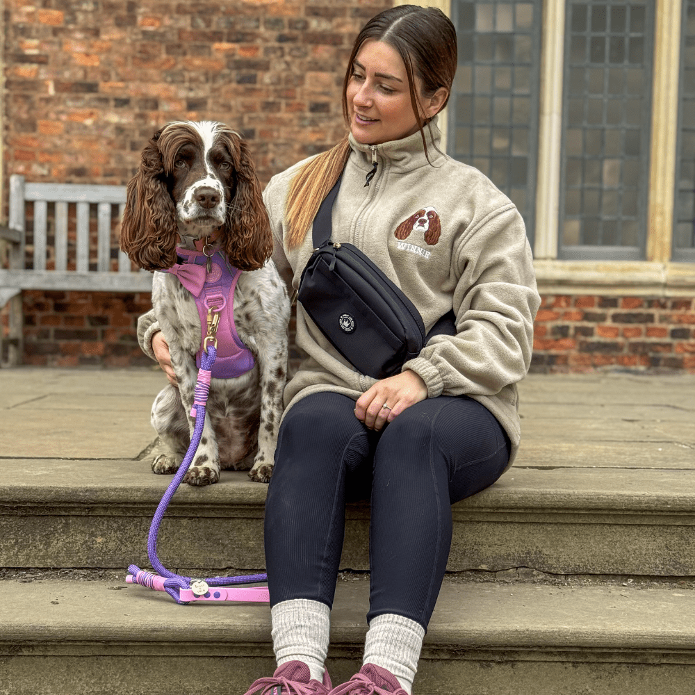 Bailey and Coco – wholesale Pet treat bag – Dog – Magnetic Snap Dog Walking Bum Bag - Black3