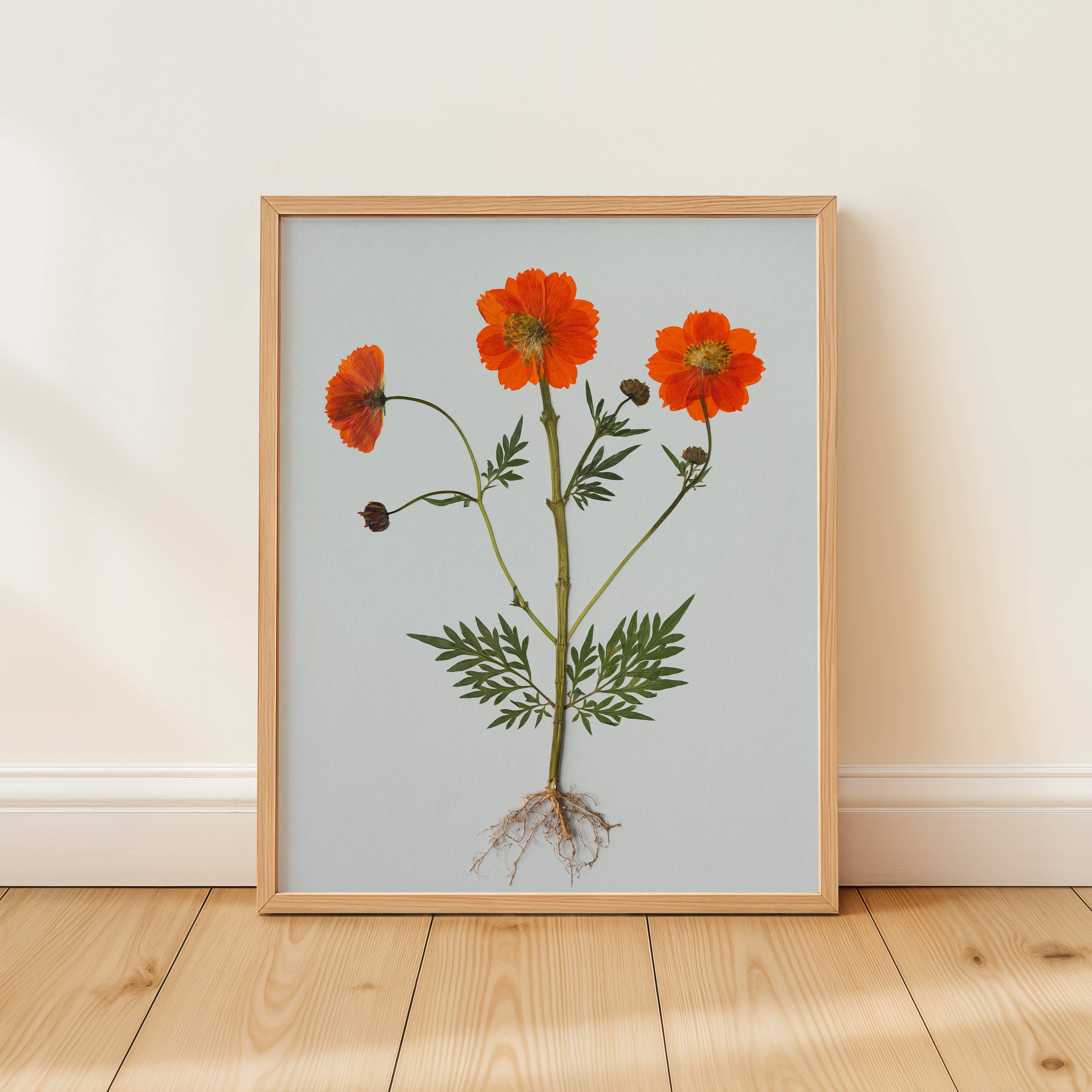 Hope Steinle Pressed Flower Art - Wholesale Art Print - Root Series No. 4