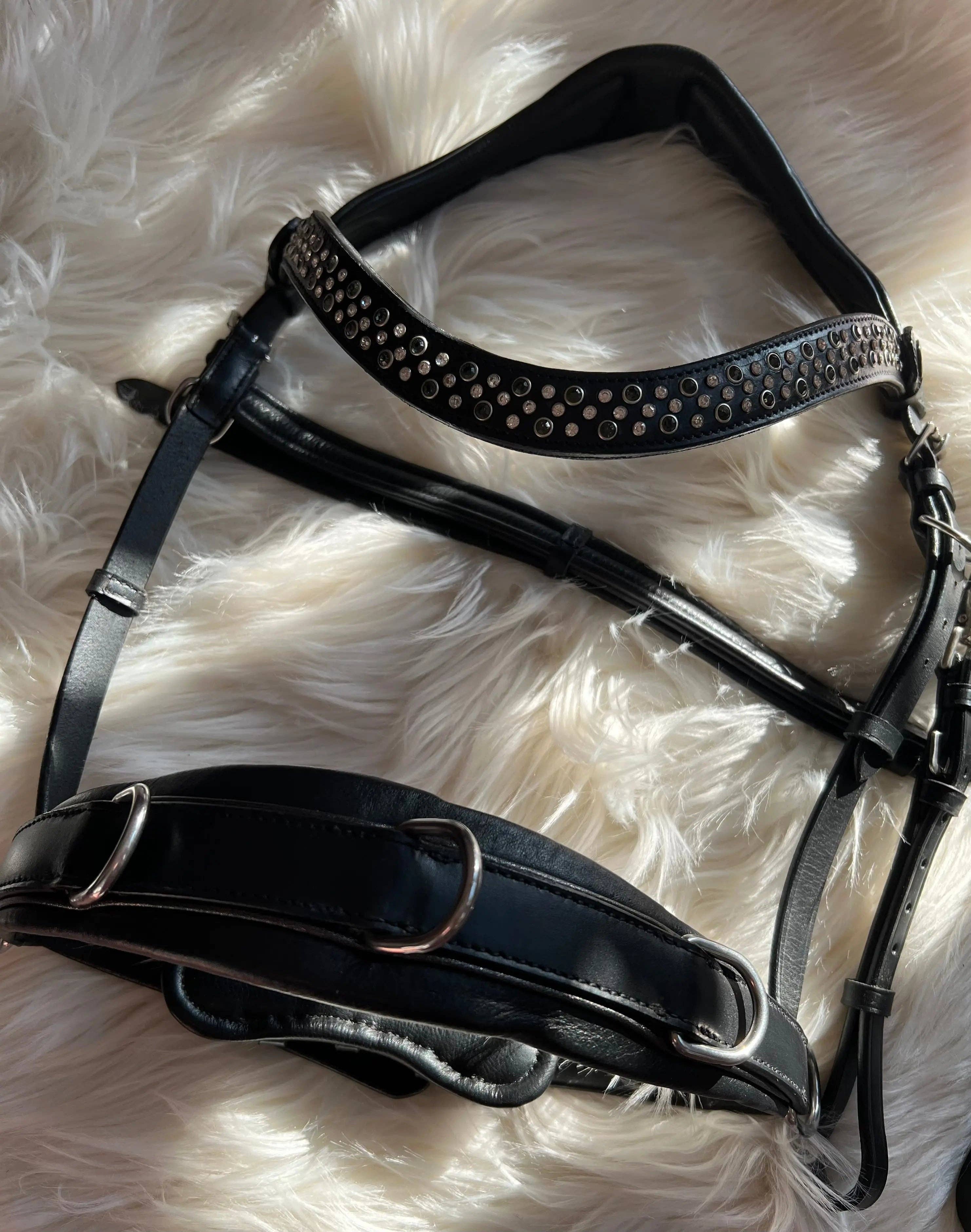 CR Harmonyequestrian - Wholesale Horseback Riding Gear - Full-blooded multi-fence0