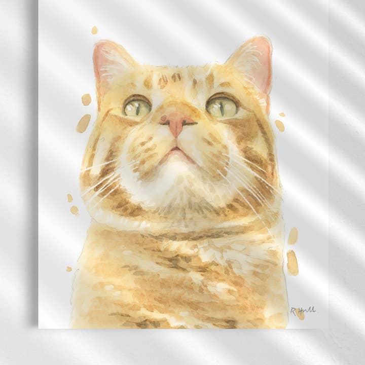 Ingefær Tabby Kat A4/Brev Print for engroshandel hos Robert James Hull