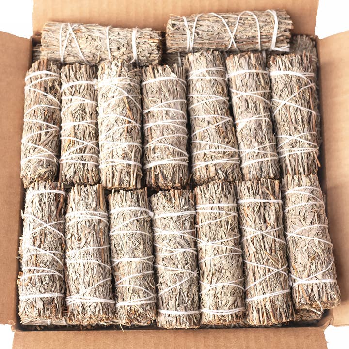 Blue Sage (Grandmother Sage) en vrac (PAQUET DE 25)  pour la vente par Sarimoire