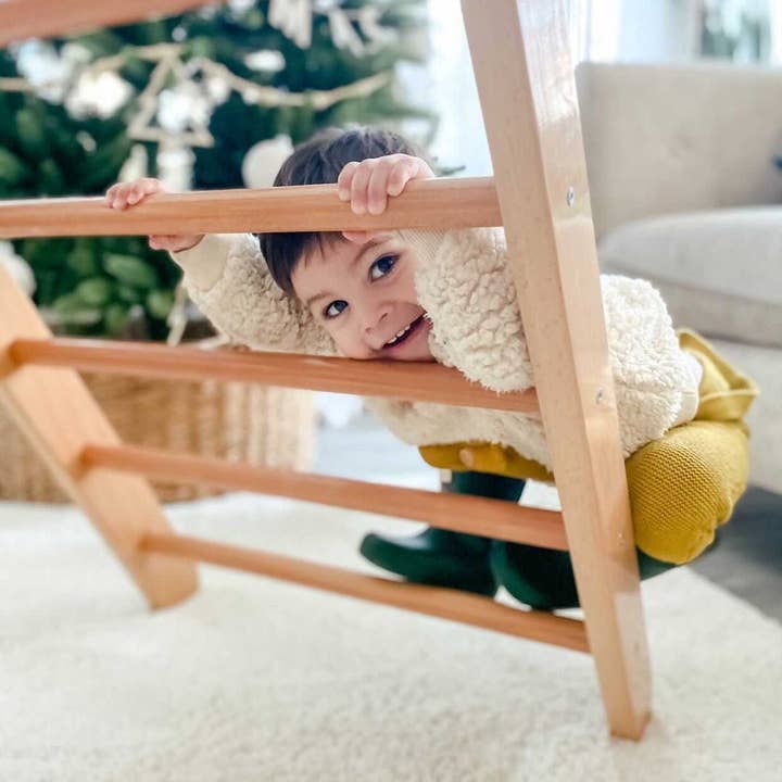 Bunny Hopkins - Wholesale Wood Toy - Kids - Climbing Triangle19