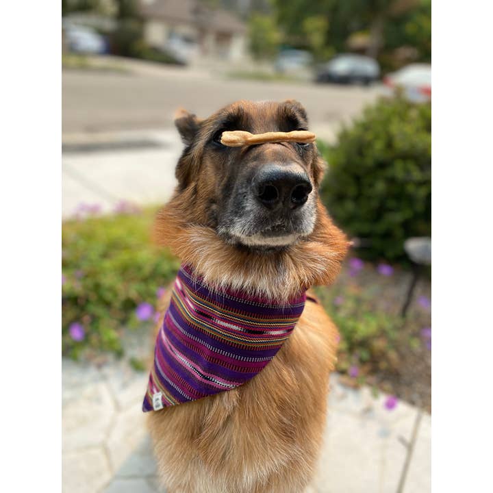 Sam & Nala | intentional style for pets & their people - Vendita all'ingrosso Bandana - Cani - Bandana per cani Lite & Bright tessuta a mano/commercio equo4