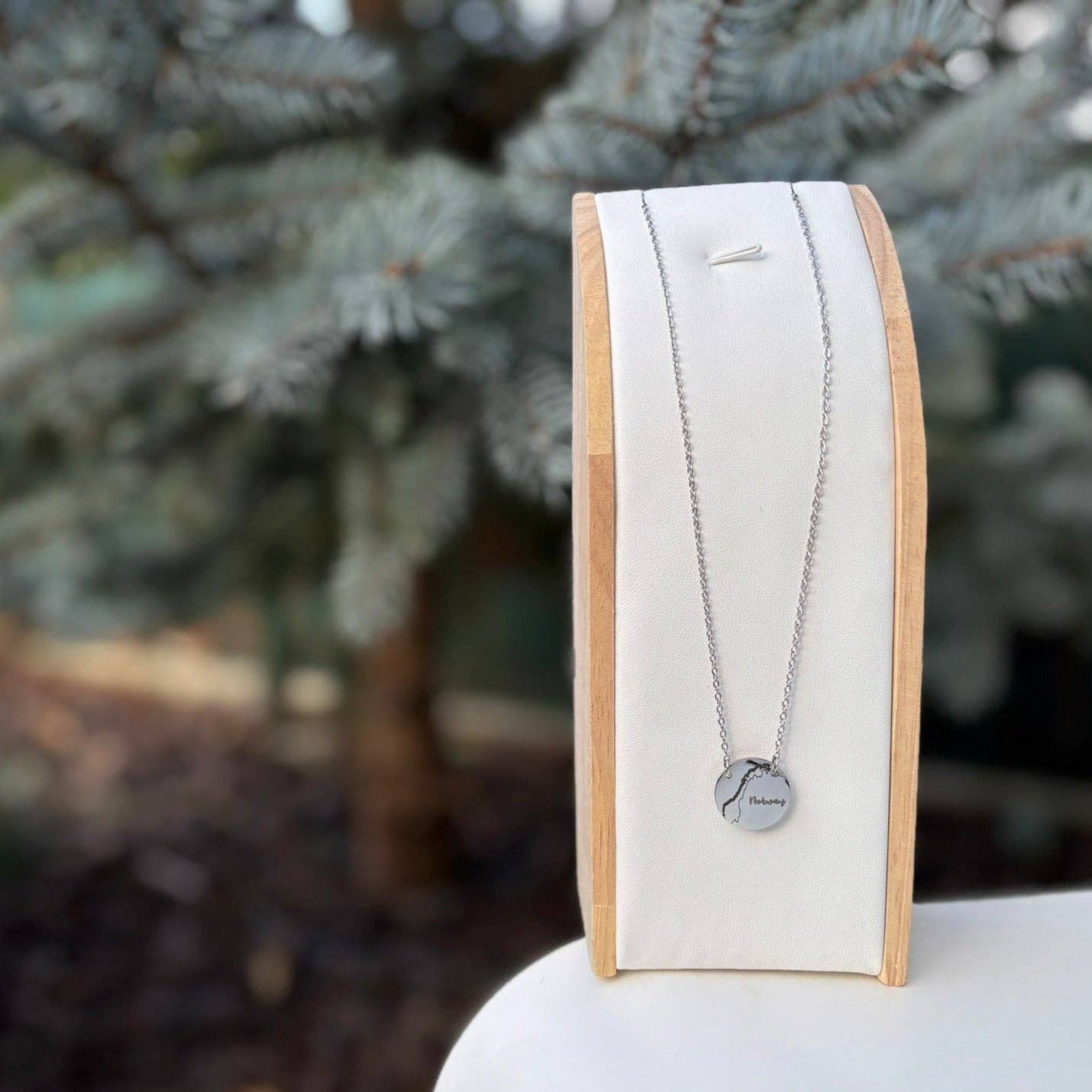 Arthousefern - Wholesale Pendant/Charm Necklace - Norway country outline round necklace- Stainless Steel4