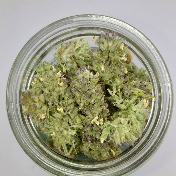 Cat Dispo - Wholesale Catnip - High-Potency Catnip Buds | Rainier Kush