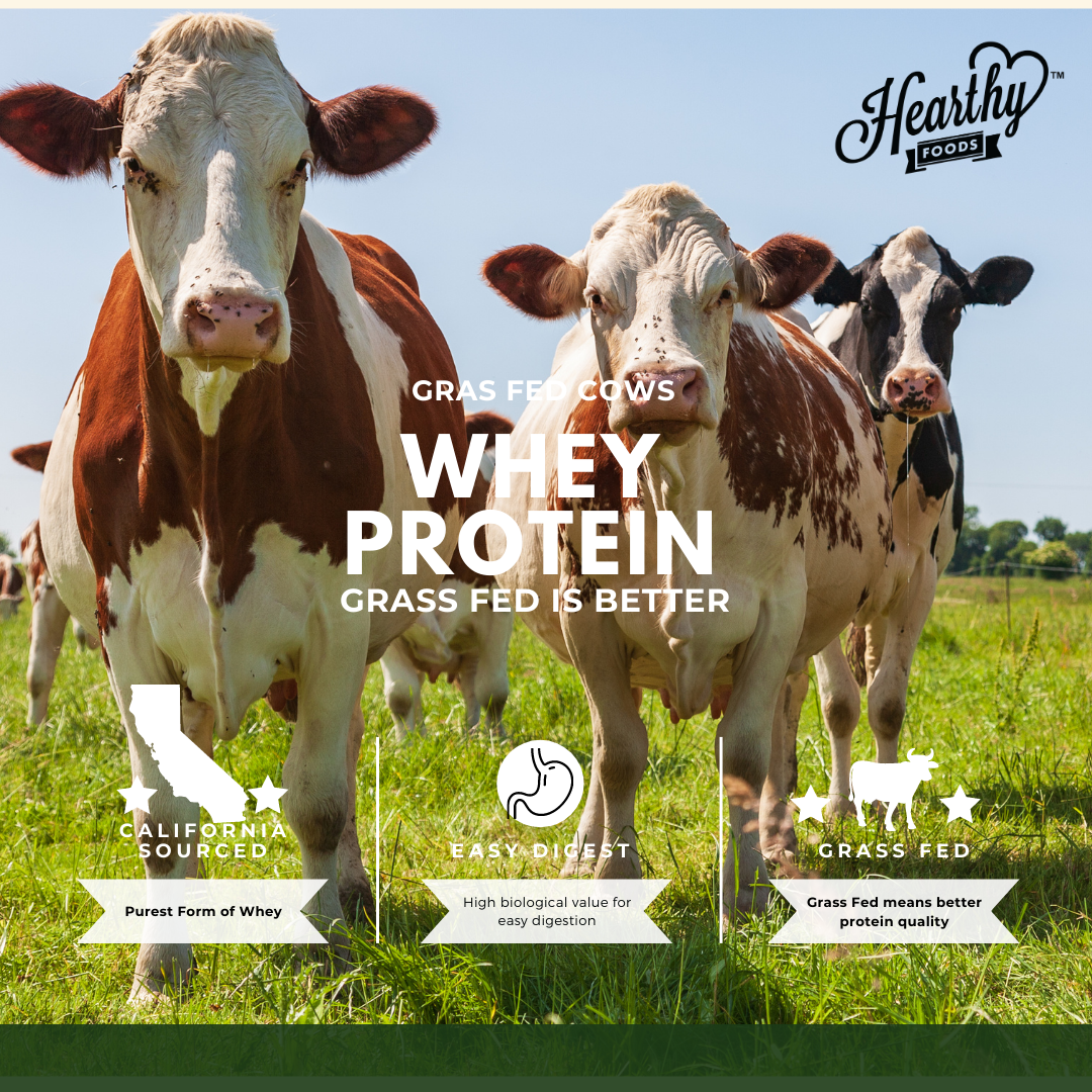 Hearthy Foods - Wholesale Protein/Superfood Powder - Whey Protein Powder Isolate Unsweetened No Carbs and No Fat6