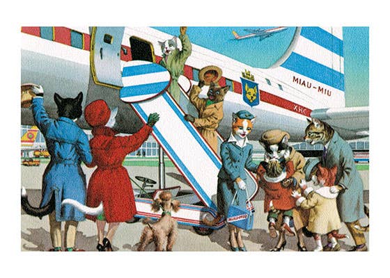 Laughing Elephant - Wholesale Art Print - Cats' Bon Voyage - Captivating Cats Print1