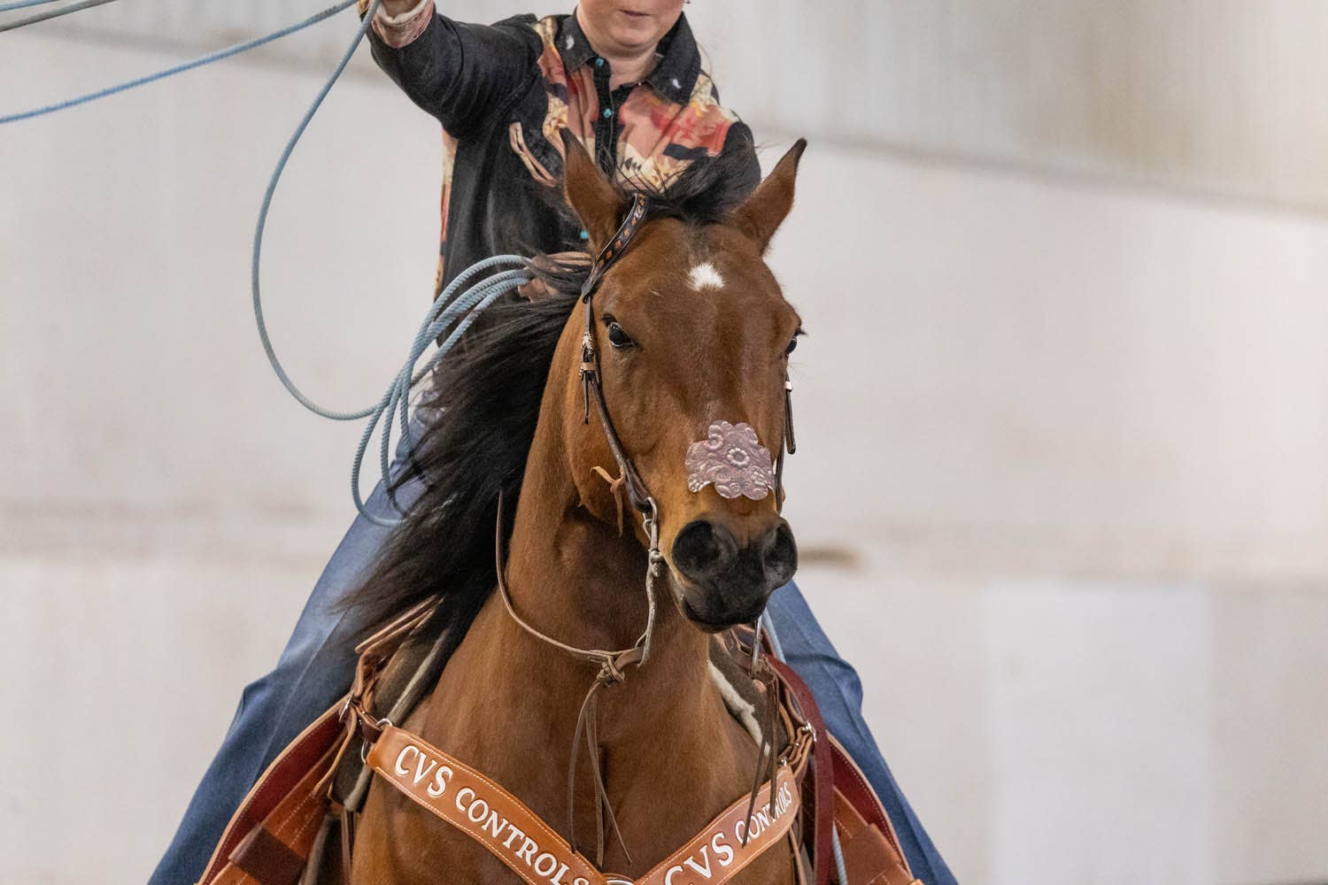 EquiBreathe™ - Vente Équipement d’équitation - EquiBreathe™ Patch Nasal Équin - Cuir Outilé9