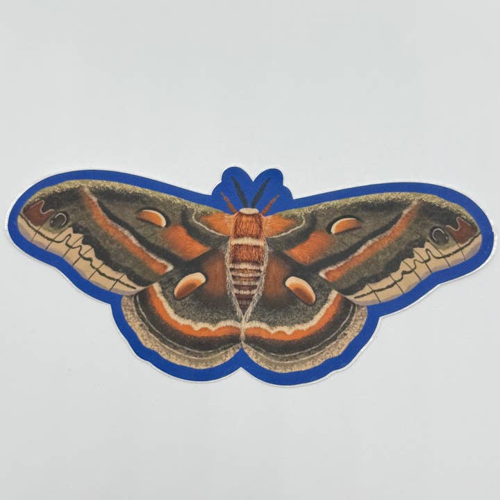 Cecropia Moth Sticker for wholesale by MI Woodland Art Studio