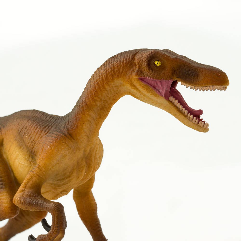 Safari Ltd. - Wholesale Figurine Toy - Kids - Velociraptor Figurine Toy - Kids3