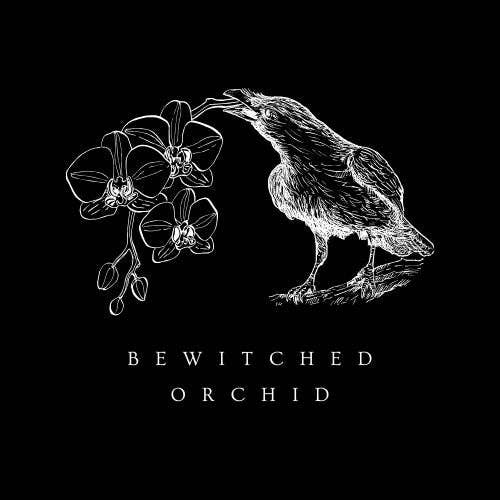 Bewitched Orchid for wholesale by Savia Lux