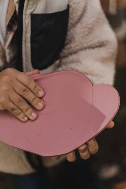 the cotton cloud – wholesale Lunchlåda - Barn – Silikonmatlåda Milo Vildros4