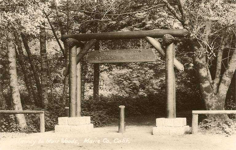 Found Image Press - Vente Assortiments de papeterie/cartes - Carte de vœux CA-1402 Entrée de Muir Woods0