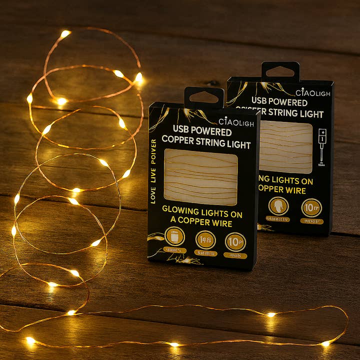 Infinite Basics – wholesale String lights – 2-Pack 10-Ft USB Powered Indoor/Outdoor LED Copper Wire String Light