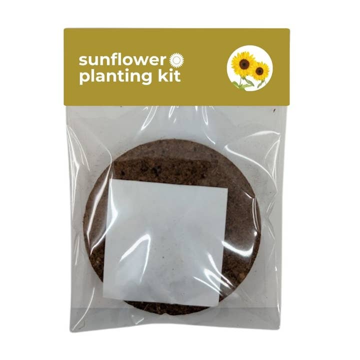 Sprigbox - Wholesale Plant Seeds - DIY Planting Kit | Eco-Friendly | Herbs, Flowers & More