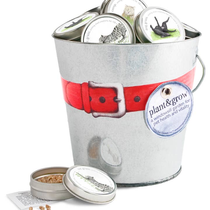 Potting Shed Creations, Ltd. - Wholesale Pet Toy - Cat/Dog - Pet Garden Sprinkle Pail | Best Seller