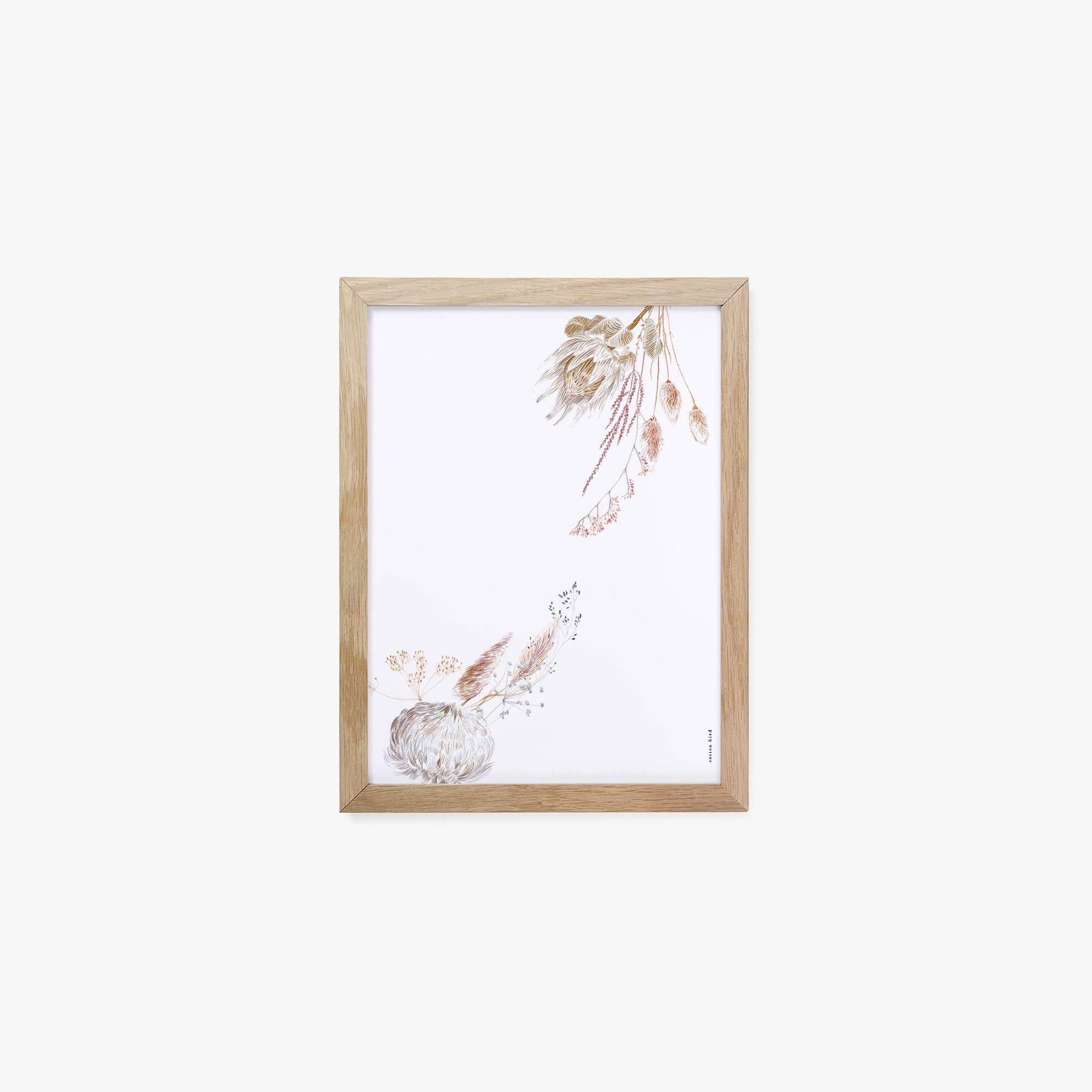 Cotton Bird - Wholesale Poster - Camposanto poster2