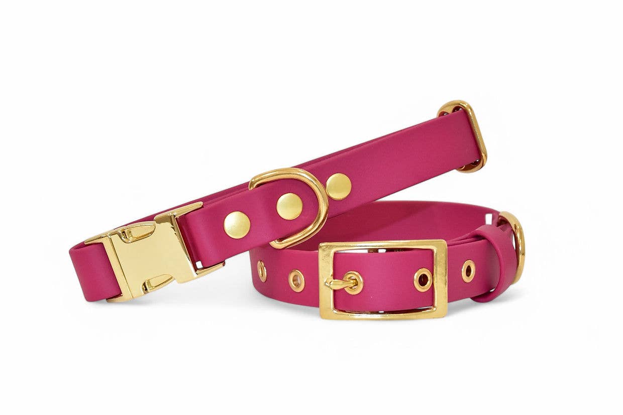 Pompon & Pets - Vendita all'ingrosso Collare - Cani - Collare Lampone - Biothane0