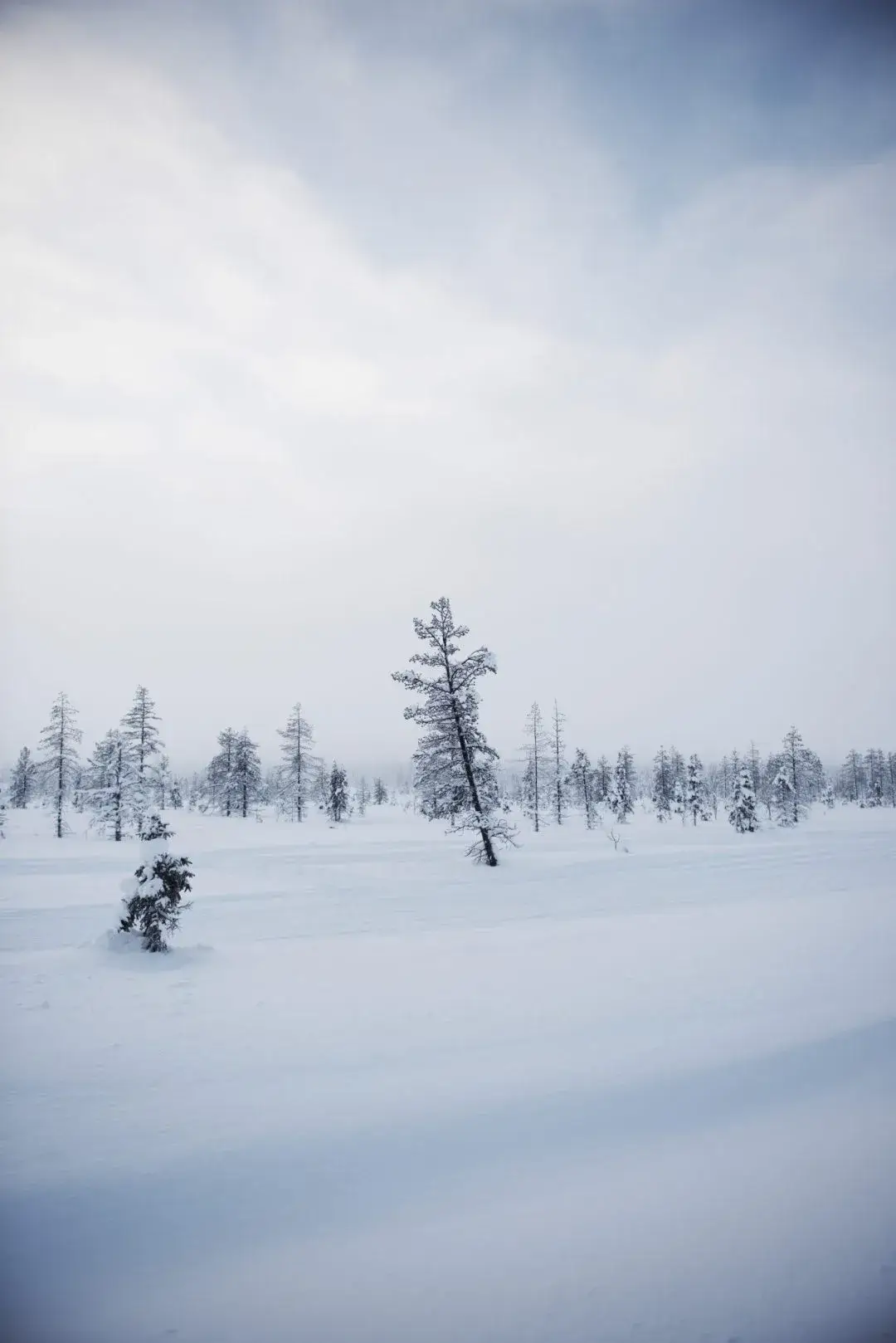 Cozy Publishing - Wholesale Cookbooks & Food - Eat Finland3