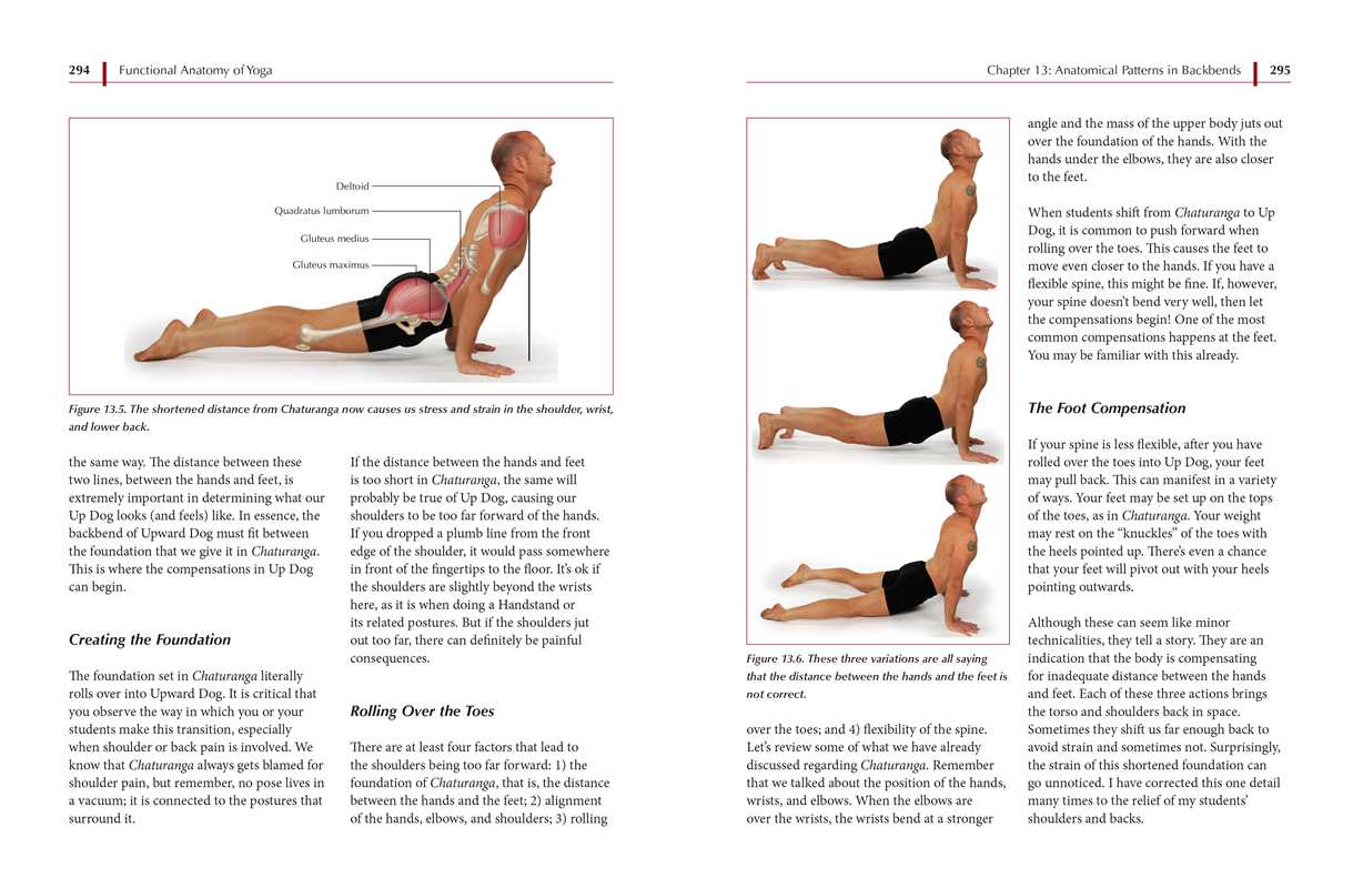 Simon & Schuster - Wholesale Fitness & Exercise - Functional Anatomy of Yoga by David Keil6