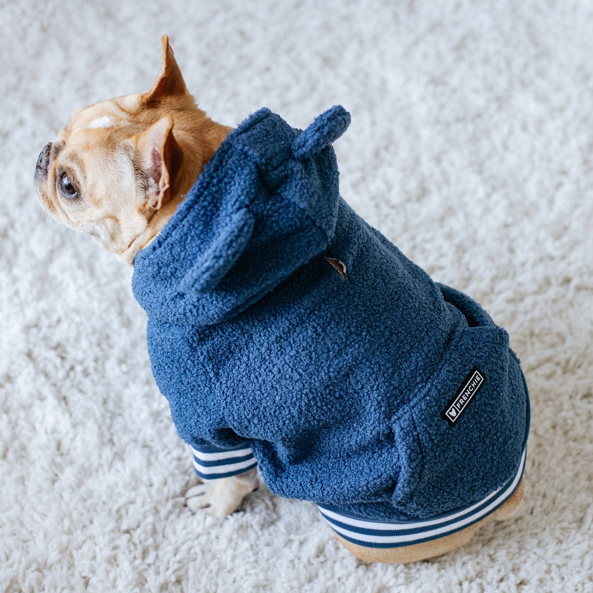 Frenchie - Wholesale Pet Hoodie - Dog - Frenchie Dog Hoodie - Blue Teddy6